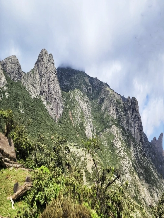 الرحلة سياحية حصرية لليمنيين الى اجمل جزر العالم سقطرى (7 أشخاص)