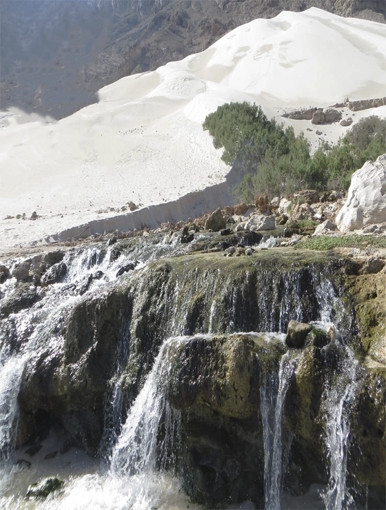 رحلة سياحية حصرية لليمنيين الى اجمل جزر العالم سقطرى (9 اشخاص)